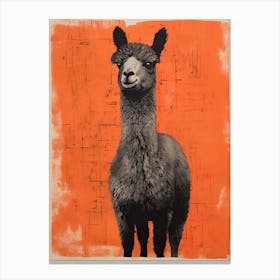 Alpaca, Woodblock Animal Drawing 3 Canvas Print