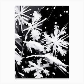 Fragile, Snowflakes, Black & White 4 Canvas Print