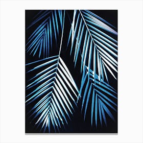Blue palm leaf cyanotype 1 Canvas Print
