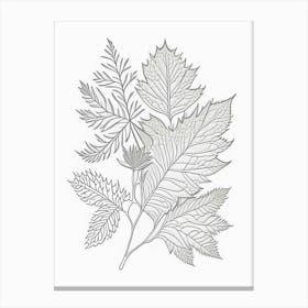 Curry Leaf Herb William Morris Inspired Line Drawing 3 Canvas Print