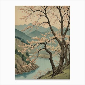 Cherry Blossoms no2 Canvas Print