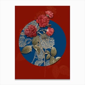 Vintage Botanical Red Cabbage Rose in Bloom on Circle Blue on Red n.0011 Canvas Print
