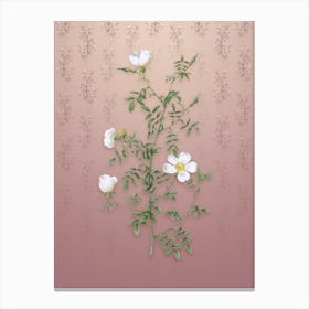 Vintage Hedge Rose Botanical on Dusty Pink Pattern n.0813 Canvas Print