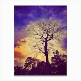 The Leafless Tree Canvas Print