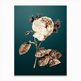 Gold Botanical Centifolia Roses on Dark Teal Canvas Print