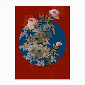 Vintage Botanical Rose of the Hedges on Circle Blue on Red n.0060 Canvas Print