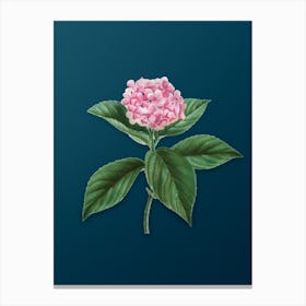 Vintage French Hydrangea Botanical Art on Teal Blue n.0522 Canvas Print
