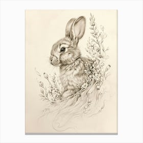 Havana Rabbit Drawing 4 Canvas Print