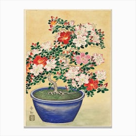 Blooming Azalea In Blue Pot, Ohara Koson Canvas Print