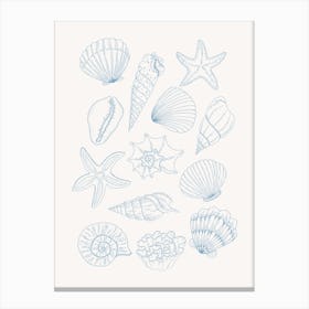 Shells Canvas Print