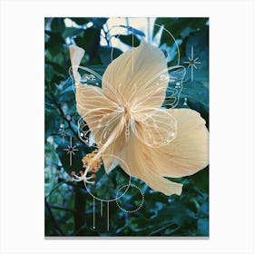 Butterfly Hibiscus Canvas Print