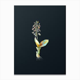Vintage Brown Widelip Orchid Botanical Watercolor Illustration on Dark Teal Blue n.0778 Canvas Print