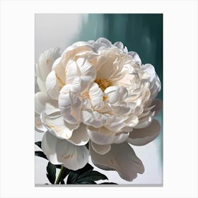 White Peony 1 Canvas Print