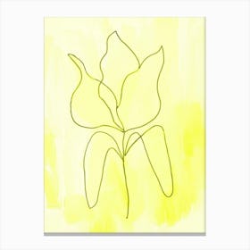 Tulip Yellow Canvas Print