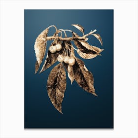 Gold Botanical Cherry on Dusk Blue n.3091 Canvas Print