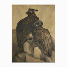 Two Arabian Vultures (1885–1917), Theo Van Hoytema Canvas Print