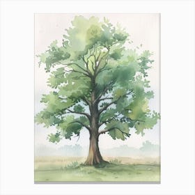 Oak Tree Atmospheric Watercolour Painting 7 Canvas Print