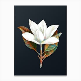 Vintage White Southern Magnolia Botanical Watercolor Illustration on Dark Teal Blue n.0023 Canvas Print