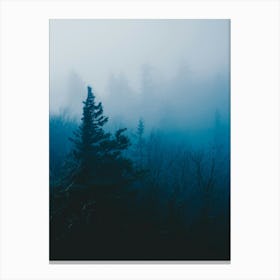 Ghost Forest Canvas Print