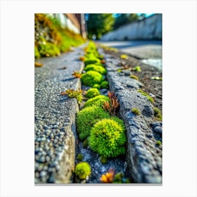 Asphalt Oasis Discover A Tiny Patch Of Verdant Mo (1) Canvas Print