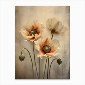 Poppies 29 Canvas Print