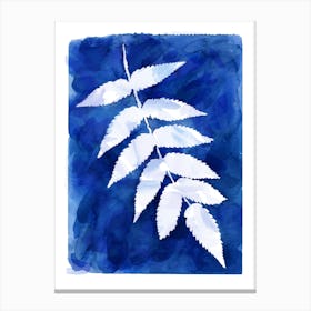 Cyanotype Botanical 4 Canvas Print