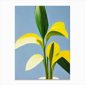 Aspidistra 2 Bold Graphic Plant Canvas Print