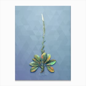 Vintage Blazing Star Botanical Art on Summer Song Blue n.1099 Canvas Print