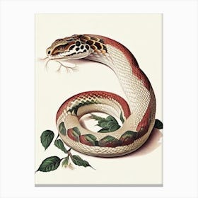 Iranian Viper Snake 1 Vintage Canvas Print