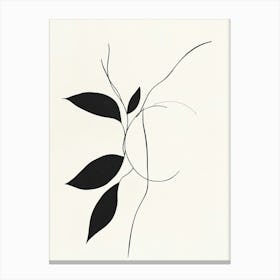 Leaf On A Branch 6 Canvas Print