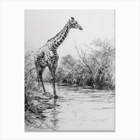 Giraffe In The River Pencil Drawing 1 Canvas Print