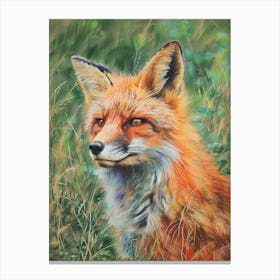 Fox Pastel Watercolour 1 Leinwandbild