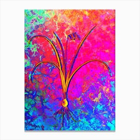 Brimeura Botanical in Acid Neon Pink Green and Blue n.0177 Canvas Print