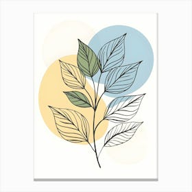 Illustration Of A Leaf 3 Canvas Print