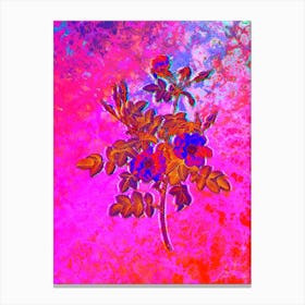 Pink Rosebush Bloom Botanical in Acid Neon Pink Green and Blue n.0038 Canvas Print