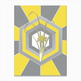 Vintage Grass Leaved Iris Botanical Geometric Art in Yellow and Gray n.293 Canvas Print