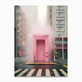 Pink Door 4 Canvas Print