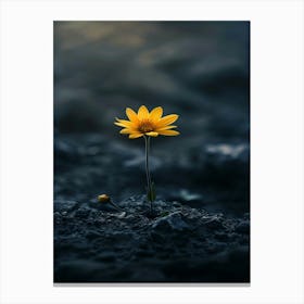 Yellow Flora Canvas Print