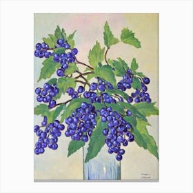 Elderberry 1 Vintage Sketch Fruit Canvas Print