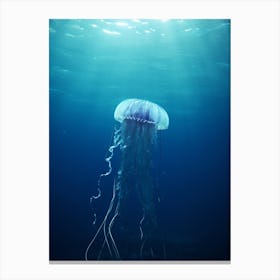 Sea Nettle Jellyfish Ocean Realistic 3 Canvas Print