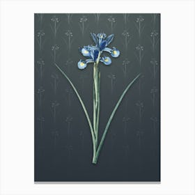 Vintage Spanish Iris Botanical on Slate Gray Pattern n.1809 Canvas Print