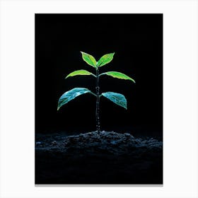 Green Plant Sprouting From The Ground Canvas Print