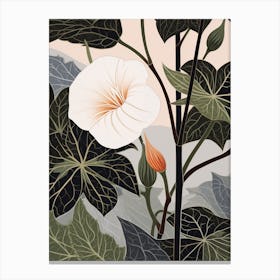 Flower Illustration Moonflower 3 Canvas Print