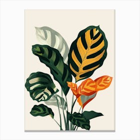 Calathea Plant Minimalist Illustration 3 Canvas Print