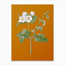 Vintage White Flowered Rose Botanical on Sunset Orange n.0684 Canvas Print