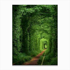 Tunnel Of Love Canvas Print