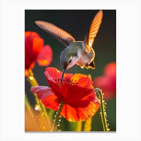 Hummingbird 35 Canvas Print