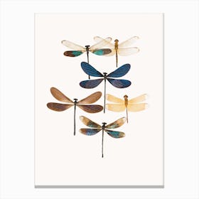 Insects X Canvas Print