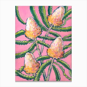 Banksia Painting Canvas Print