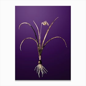 Gold Botanical Brimeura on Royal Purple n.4772 Canvas Print
